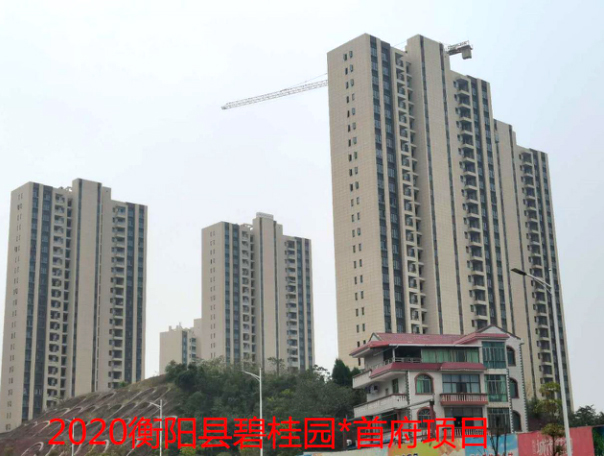 2020年衡陽縣碧桂園*首府項目