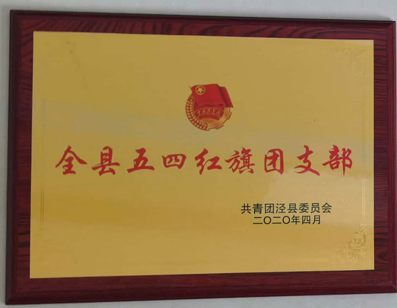 全縣五四紅旗團(tuán)支部
