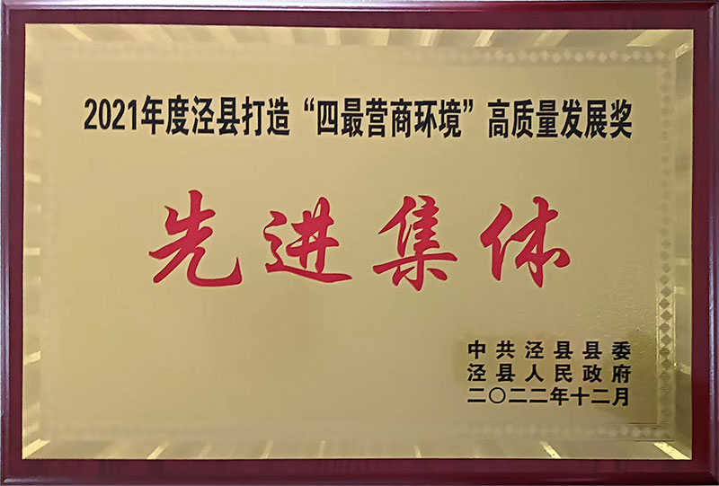 2021年度涇縣打造“四最營(yíng)商環(huán)境”高質(zhì)量發(fā)展獎(jiǎng)